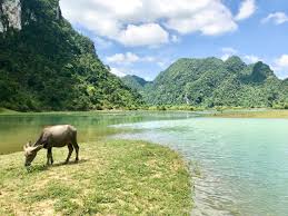 Làm thơ (thơ Lê Đức Hoàng) 
